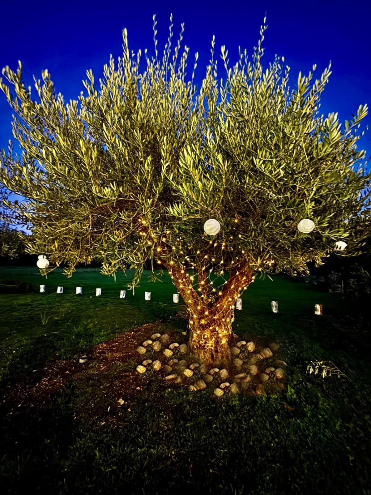 הוילה קלוריקו דה ביירה Quinta Vale Da Prata מראה חיצוני תמונה