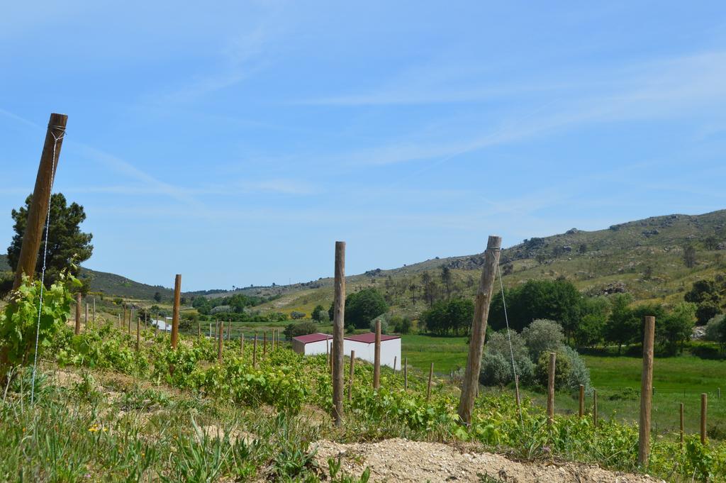 הוילה קלוריקו דה ביירה Quinta Vale Da Prata מראה חיצוני תמונה