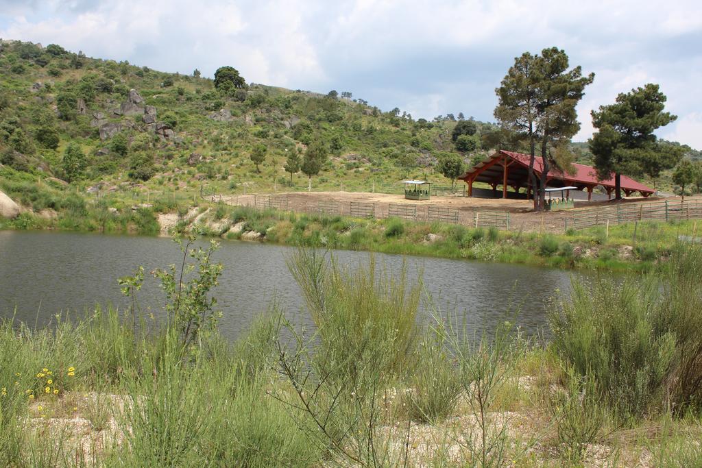 הוילה קלוריקו דה ביירה Quinta Vale Da Prata מראה חיצוני תמונה