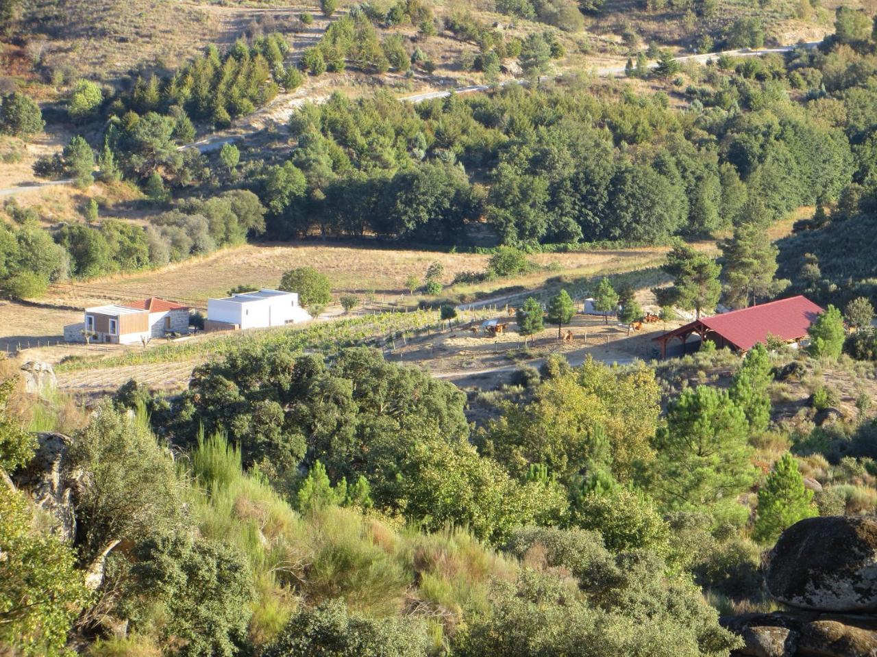 הוילה קלוריקו דה ביירה Quinta Vale Da Prata מראה חיצוני תמונה